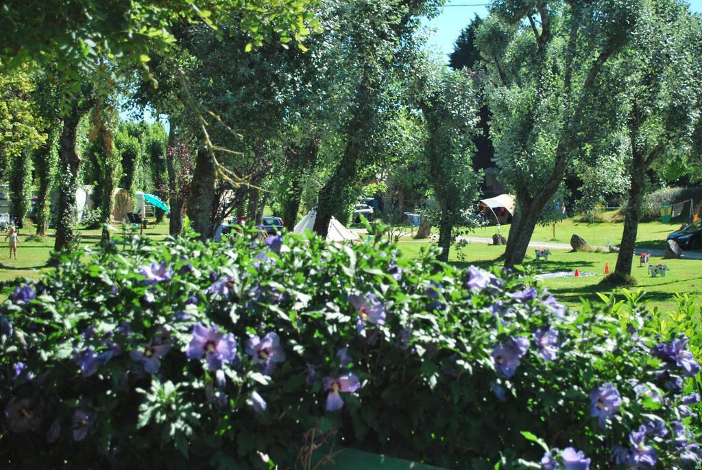 Camping Les Tournesols Sillé-le-Guillaume Dış mekan fotoğraf