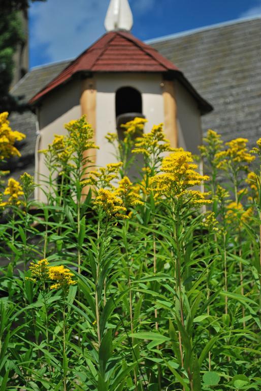 Camping Les Tournesols Sillé-le-Guillaume Dış mekan fotoğraf